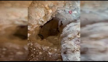 Bursa'da definecilerin mağara hayatı pes dedirtti