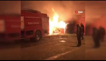 Bursa'da lodosun etkisiyle büyüyen yangın paniğe sebep oldu