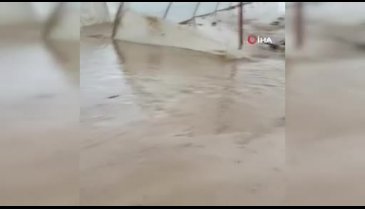 Ne yaptıysa serasını kurtaramadı, anlattıkları yürek dağladı