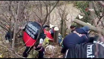 Ağaç keserken uçurumdan aşağıya yuvarlandı