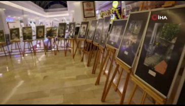 Bursa'da sokakta yaşayan hayvanları tek tek fotoğraflayıp sergi açtılar