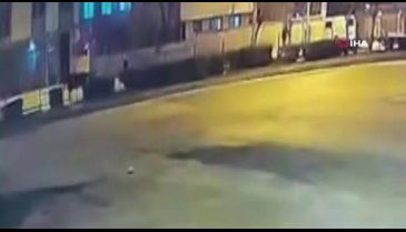 Bursa'da atlar sürücülere dehşeti yaşattı