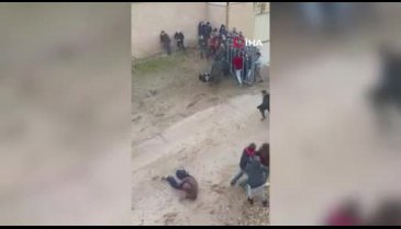 Kızgın boğa bu kez seyircilere saldırdı