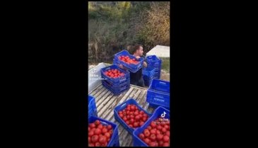 Fiyatlardaki farklar çiftçiyi isyan ettirdi