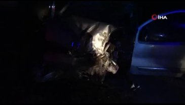 Şanlıurfa'da hafif ticari araç uçuruma düştü: 1'i bebek 2 ölü, 6 yaralı