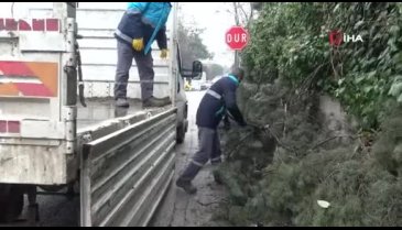 Bursa'da budanan ağaçların atıkları çöp olmuyor