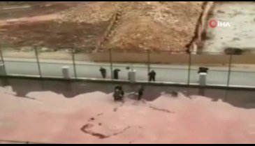Gaziantep'te pitbull kurbanı Asiye'nin babası işten kovuldu!