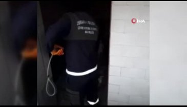 Bursa'da başıboş Pitbull'a camide operasyon