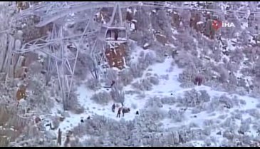 Teleferik arıza yaptı 20 kişi mahsur kaldı