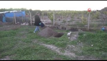 Ölü sanıp gömmeye gittikleri bebekleri yolda ağlayınca yaşadığını fark ettiler