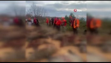 Bursa'da ekinlere zarar veren 33 domuz bir günde vuruldu