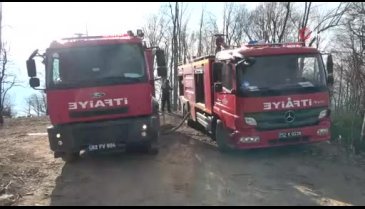 Ordu'da orman yangını
