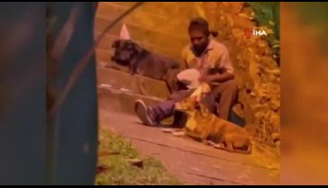 Evsiz adam doğum gününü köpeklerle kutladı