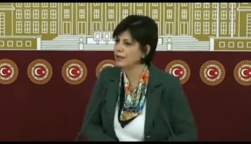 HDP'den teröristle fotoğrafları çıkan Semra Güzel savunması