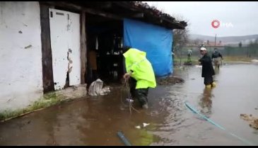 Muğla'da su taşkınında mahsur kalan havyanlar kurtarıldı