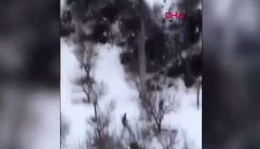 Antalya'da yaban domuzunun avcıya saldırısı kamerada