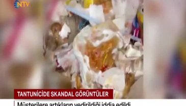İstanbul Kadıköy'deki tantunicide şoke eden görüntü! Çöpten toplattırdı