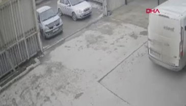 İstanbul Sultanbeyli'de kamyonetin ezdiği köpek öldü