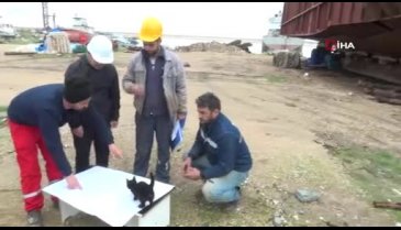 Bursa'da haber çekimine kara kedi sabotajı