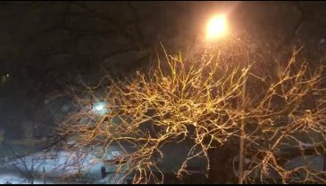 Bursa'da beklenen kar yağışı başladı