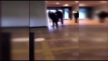 Belçika'da öğretmen öğrenciyi yere fırlattı