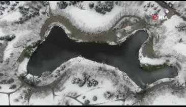 Bursa'da Botanik Park kar yağınca hayvanlara kaldı