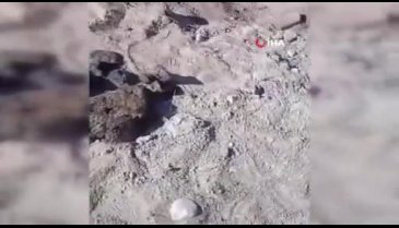 Meksika'da 50'den fazla cesedin bulunduğu toplu mezar bulundu