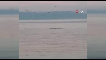 Bursa'da sürpriz ziyaret!
