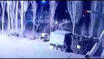 Iğdır'da bir köpek, kurtlara yem oldu