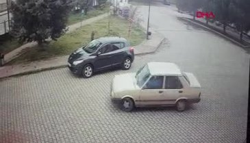 Ordu'da otomobili antrenörün üzerine sürdü, köpeği yaraladı