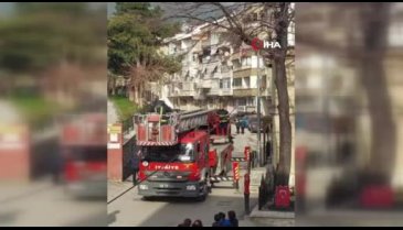 Bursa'da ağaçta asılı kalan kuşun imdadına itfaiye koştu