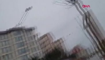 Sokak hayvanlarının mama kaplarını tekmeledi, hayvansever ile tartıştı