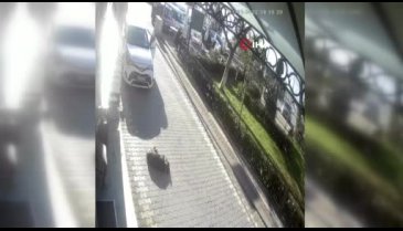 Bursa'da aracıyla yolda yatan köpeğin üzerinden geçti