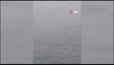 Çanakkale'de feribottan denize atlayan genç adam hayatını kaybetti