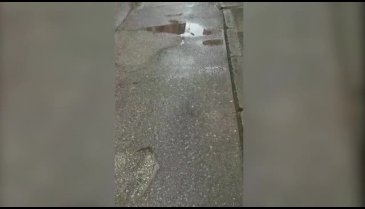 Bursa'da sinir krizi geçiren kadın ortalığı birbirine kattı! - 2