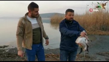 Ayağı kırılan flamingoyu Bursa'da vatandaş kurtardı
