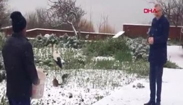 Bursa'nın simgesi karla tanıştı