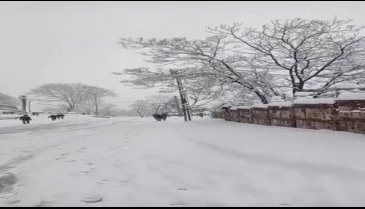 Bursa'da vatandaş ulaşımı otobüsle sağlayamıyor (ÖZEL HABER)