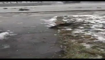 Nazi sembolü neden Ukraynalıların üniformasında