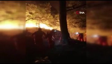 Meksika'da uyuşturucu bağımlısı ormanlık alanı yaktı