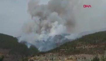 Bursa'da bir orman yangını daha
