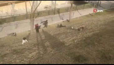 Şanlıurfa'da çocukların çimende kayak keyfi