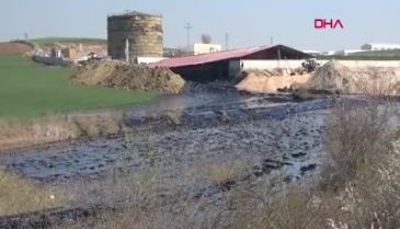 Edirne'de fuel oil kazanı patladı!