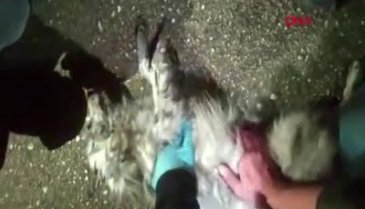Bursa'da oto galericiler sitesinde korkutan yangın