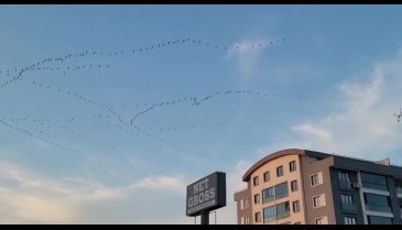 Bursa semalarında görsel şölen
