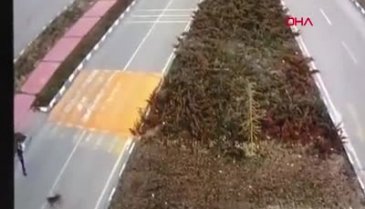 Van'da köpeklerin genç kıza saldırdığı anlar kamerada