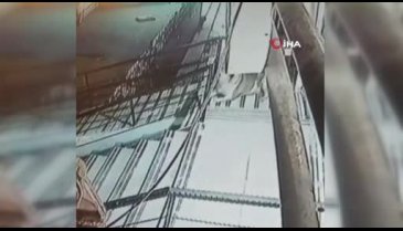 Uyuyan köpeğe defalarca acımadan vurdu