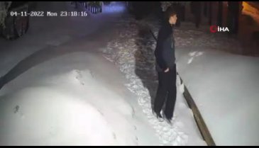 Uludağ'da ayı ile köpek boğuşması