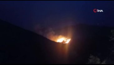 Bodrum'da orman yangını