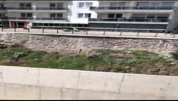 Bursa Mudanya'da sağlık tehdidi - 2